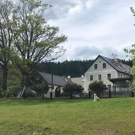 Apartmán Malšín Kültér fotó