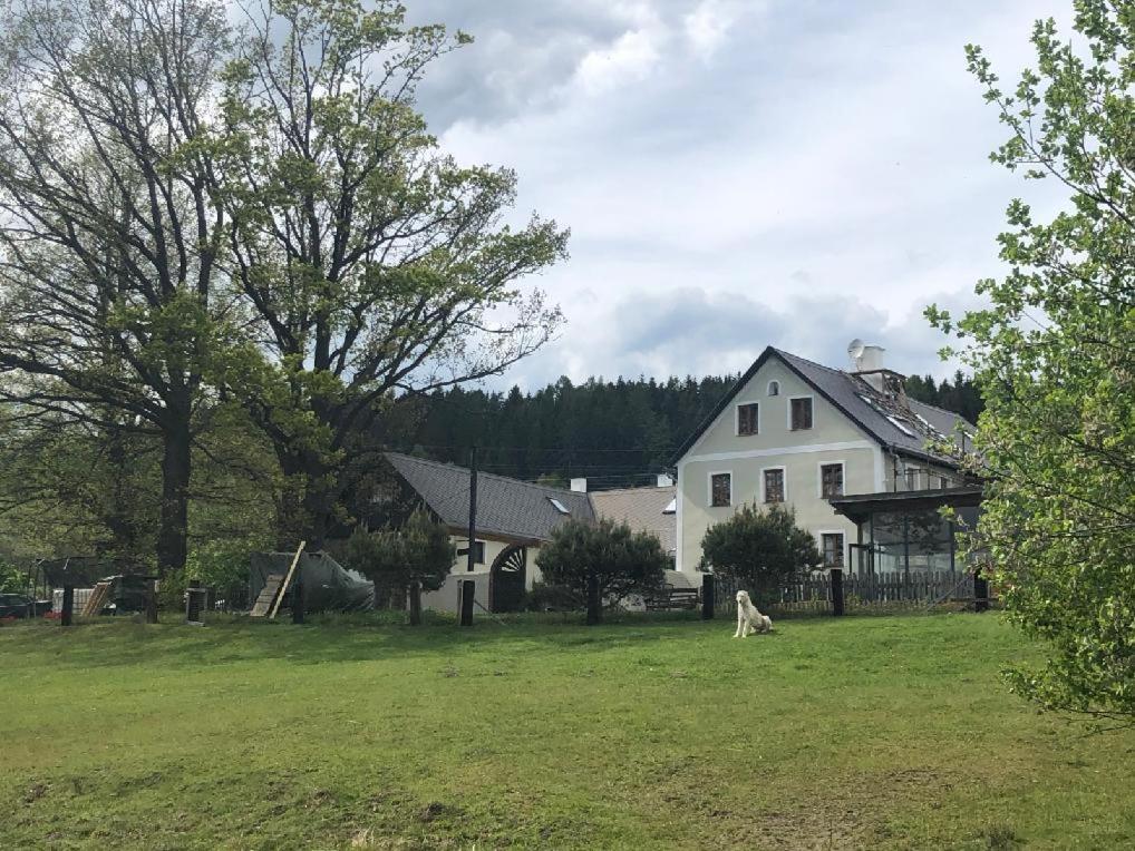 Apartmán Malšín Kültér fotó